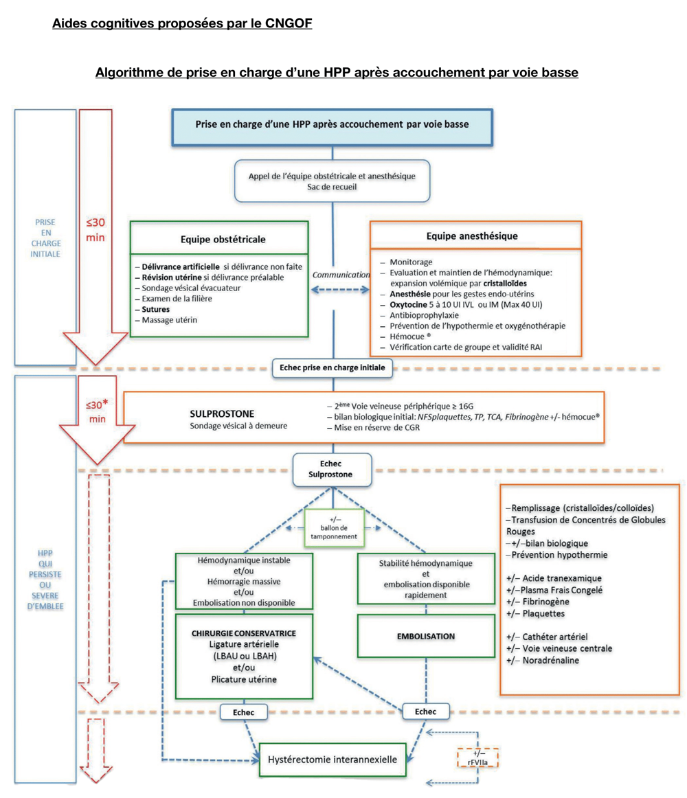 Algorithme de prise en charge d'une HPP après accouchement par voie basse