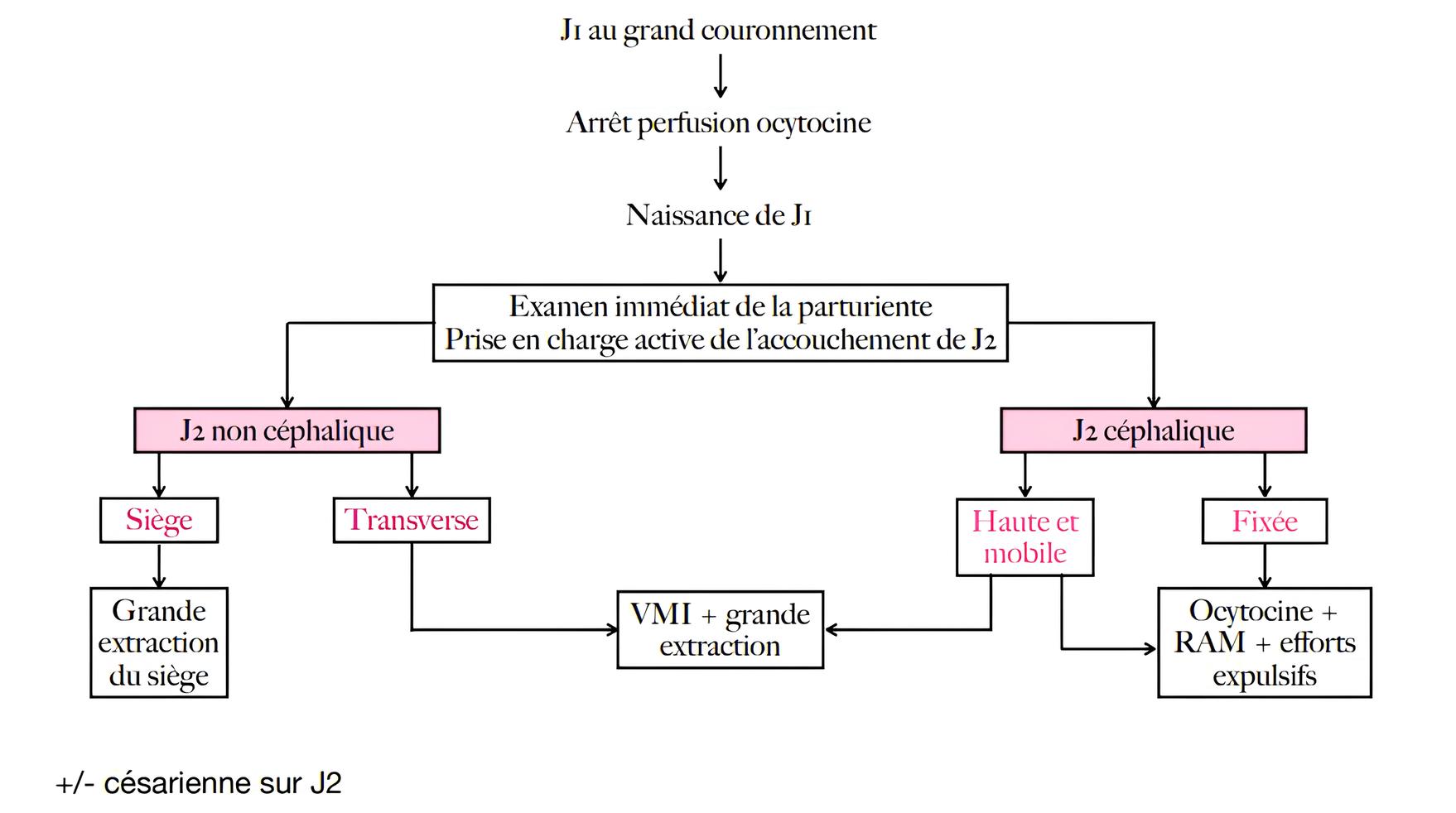 Schéma présentant l'algorithme des modalités d'accouchement du second jumeau