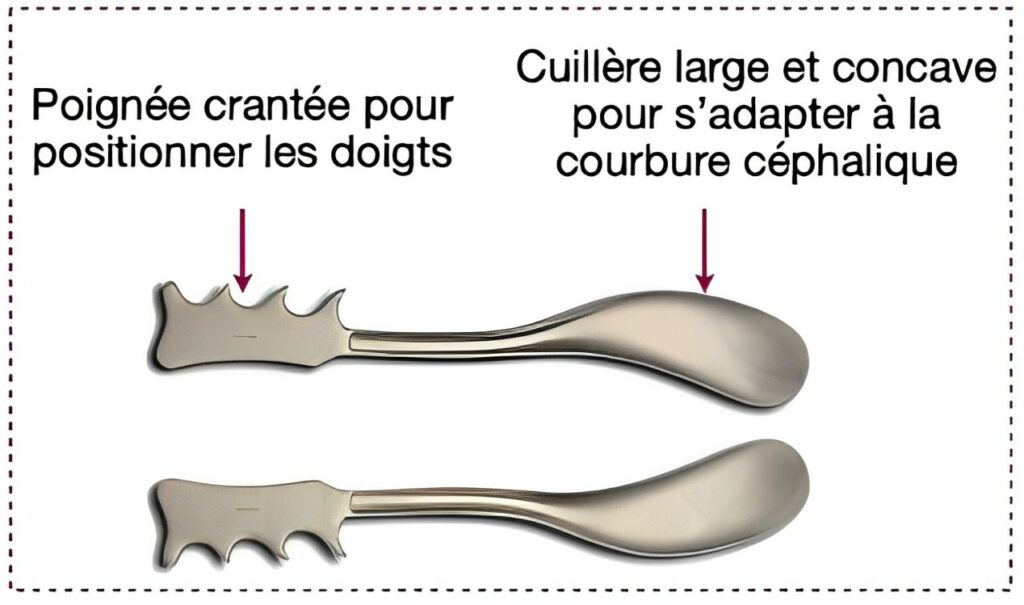 Dessin des spatules de Thierry